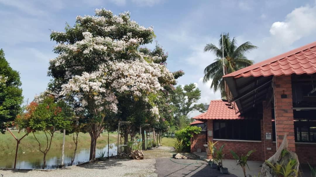 Homestay Umbai Kelana Merlimau Esterno foto